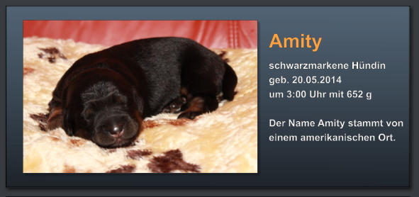 Amity schwarzmarkene Hündin geb. 20.05.2014  um 3:00 Uhr mit 652 g  Der Name Amity stammt von einem amerikanischen Ort.